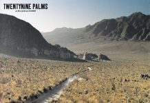 29 Palms. Note d’intention