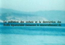 Un tournant écologique dans le cinéma expérimental français ?