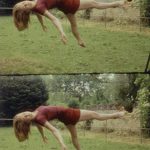 L’Attraction universelle