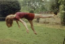 L’Attraction universelle