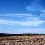 Alain Guiraudie : Cinéma, rêve, réalité