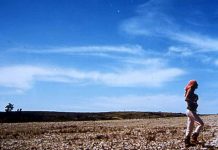 Alain Guiraudie : Cinéma, rêve, réalité