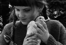 Chambre noire avec vue sur le réel