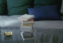 Entretiens avec Robert Bresson