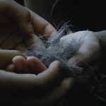 Le monde et ses visages