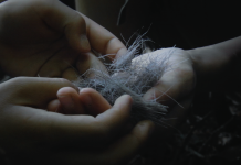 Le monde et ses visages