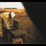 Entretien avec Peter Hoffmann autour du film Oliva Oliva