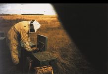 Entretien avec Peter Hoffmann autour du film Oliva Oliva