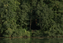 Étude d’un paysage