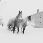 Hawkesville to Wallenstein