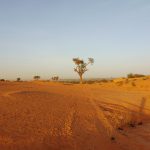 Une histoire de tissage