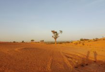 Une histoire de tissage