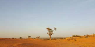 Une histoire de tissage