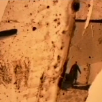 Images en marge de l’absence (Edgardo Cozarinsky, Yervant Gianikian / Angela Ricci Lucchi, Jean-Luc Godard)