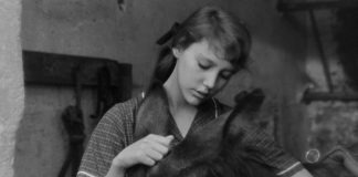 Le testament de Balthazar