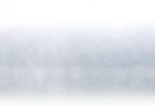 Si blanche soit l’ombre