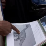 Conditions d’existence. Autour de la rétrospective « Marie Voignier – Le réel et ses doubles »