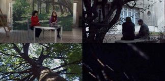 D’après Blanche-Neige (traces d’un film de João César Monteiro)